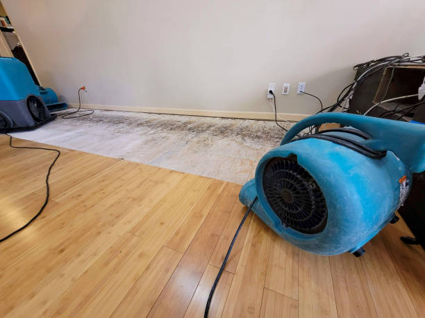 Professional Structural Drying technician working in Sharpsburg, PA